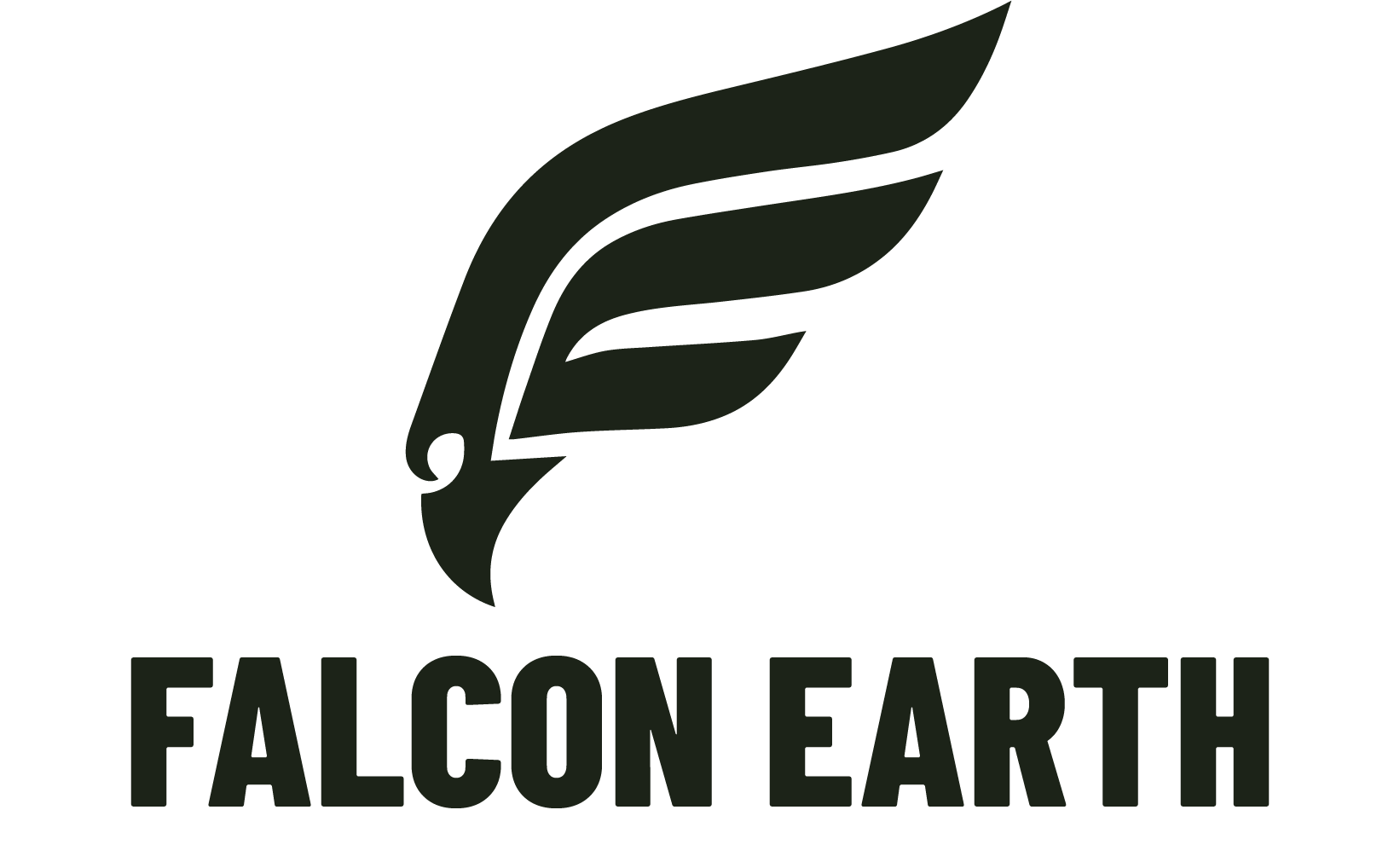 FALCON EARTH